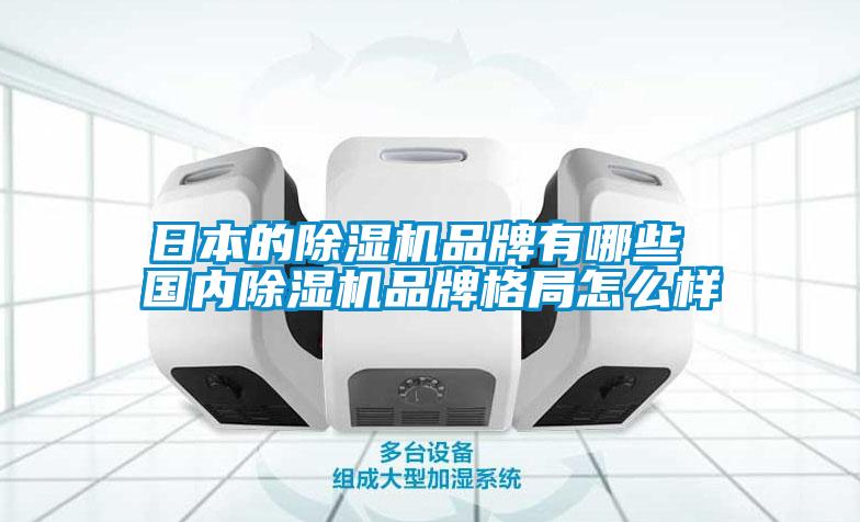 日本的除濕機品牌有哪些 國內除濕機品牌格局怎么樣