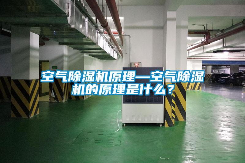 空氣除濕機原理—空氣除濕機的原理是什么？