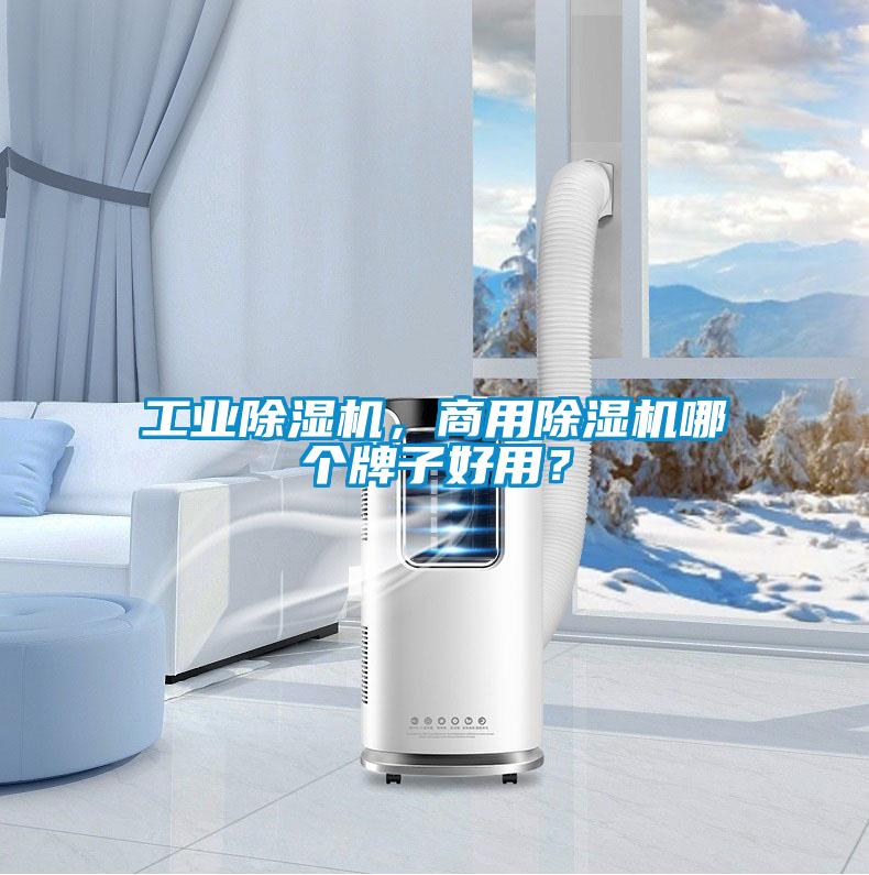 工業除濕機，商用除濕機哪個牌子好用？