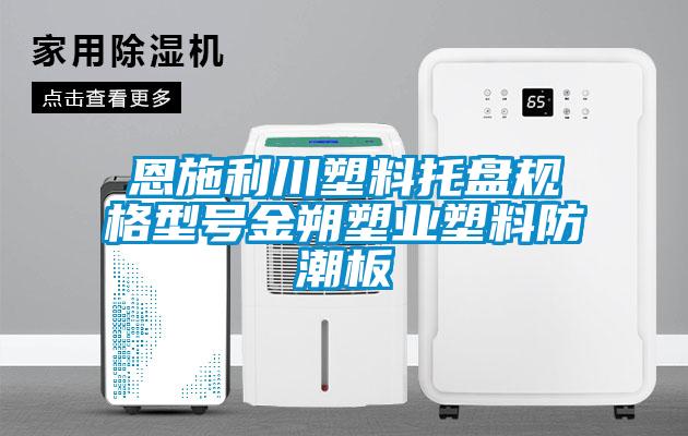恩施利川塑料托盤規格型號金朔塑業塑料防潮板