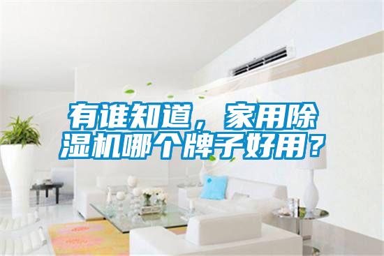 有誰知道，家用除濕機哪個牌子好用？
