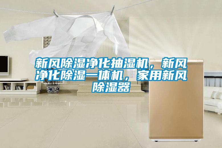 新風除濕凈化抽濕機，新風凈化除濕一體機，家用新風除濕器