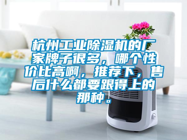 杭州工業除濕機的廠家牌子很多，哪個性價比高啊，推薦下，售后什么都要跟得上的那種。