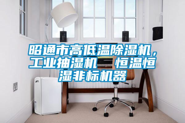 昭通市高低溫除濕機，工業抽濕機  恒溫恒濕非標機器