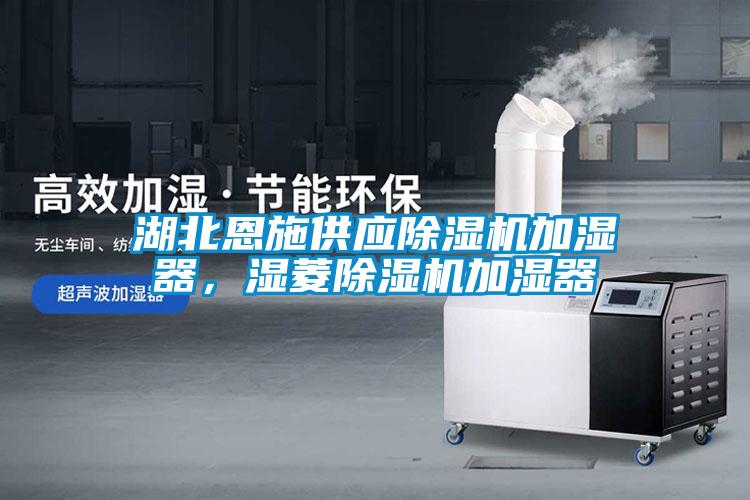 湖北恩施供應除濕機加濕器，濕菱除濕機加濕器