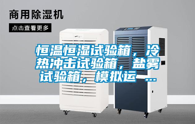 恒溫恒濕試驗箱，冷熱沖擊試驗箱，鹽霧試驗箱，模擬運 ...