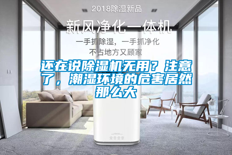 還在說除濕機無用？注意了，潮濕環境的危害居然那么大
