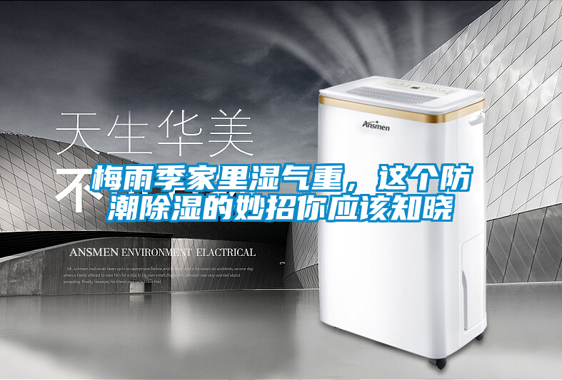 梅雨季家里濕氣重，這個防潮除濕的妙招你應該知曉