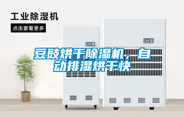 豆豉烘干除濕機，自動排濕烘干快