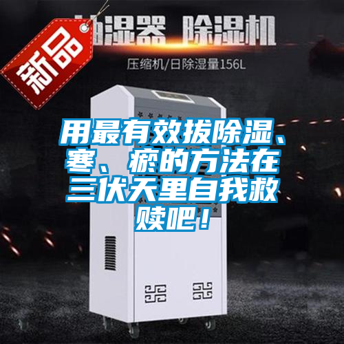 用最有效拔除濕、寒、瘀的方法在三伏天里自我救贖吧！