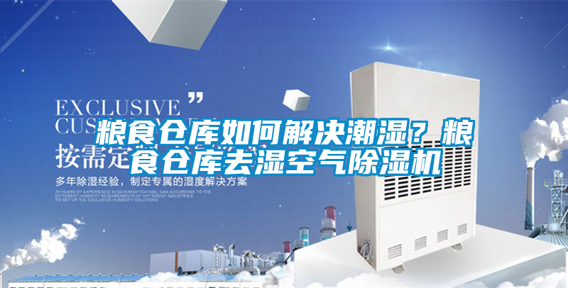 糧食倉庫如何解決潮濕？糧食倉庫去濕空氣除濕機