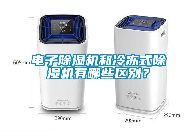 電子除濕機和冷凍式除濕機有哪些區別？