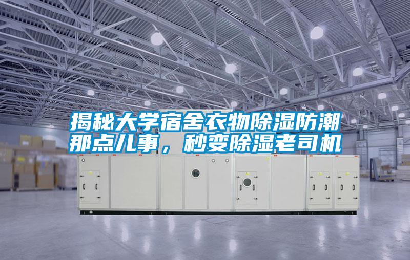 揭秘大學宿舍衣物除濕防潮那點兒事，秒變除濕老司機