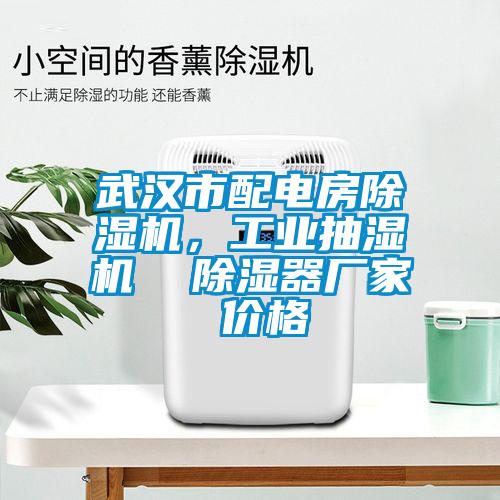 武漢市配電房除濕機，工業抽濕機  除濕器廠家 價格