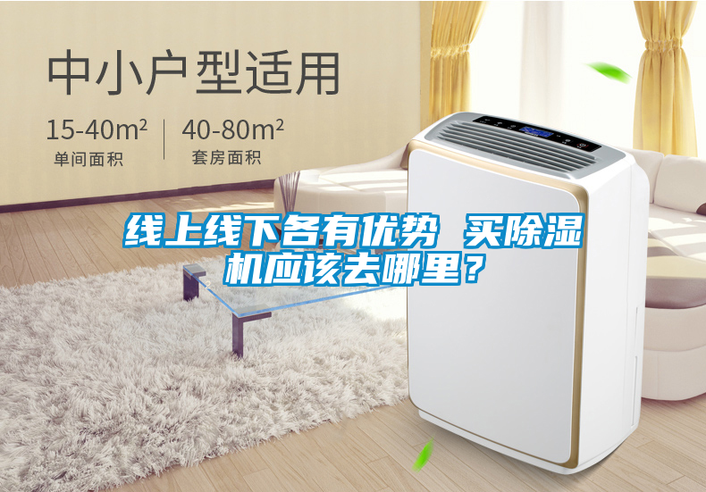 線上線下各有優勢 買除濕機應該去哪里？