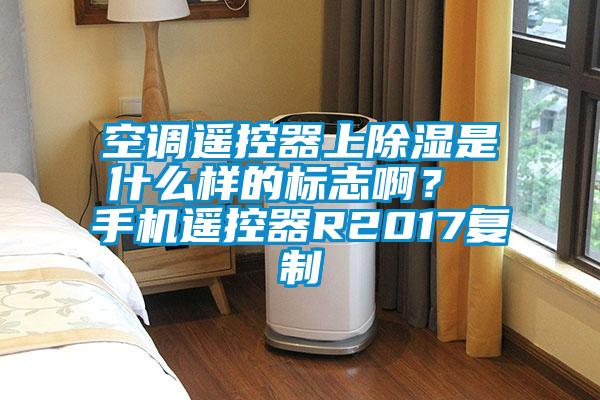 空調遙控器上除濕是什么樣的標志?。?手機遙控器R2017復制
