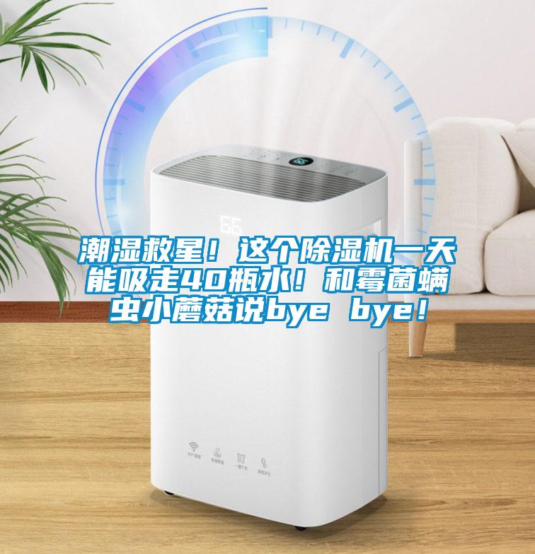 潮濕救星！這個除濕機一天能吸走40瓶水！和霉菌螨蟲小蘑菇說bye bye！