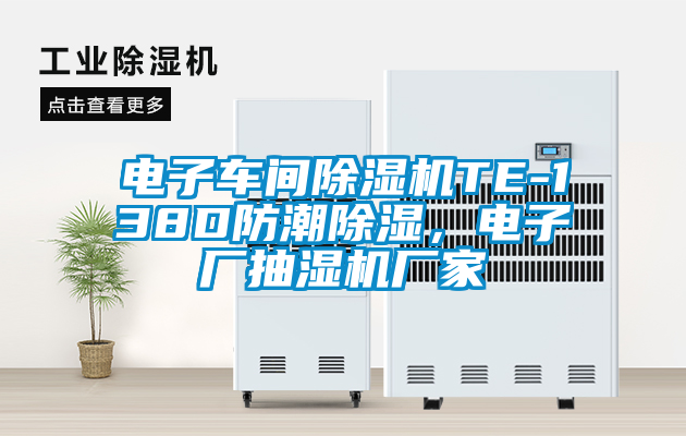 電子車間除濕機TE-138D防潮除濕，電子廠抽濕機廠家