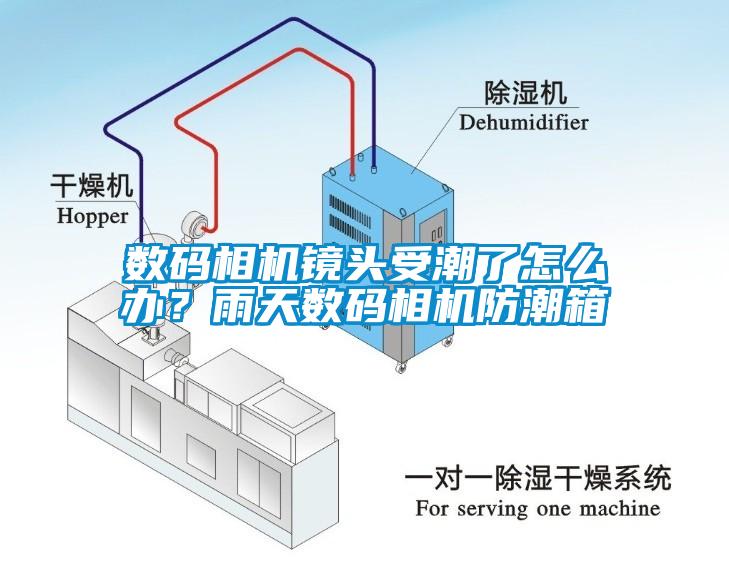 數碼相機鏡頭受潮了怎么辦？雨天數碼相機防潮箱