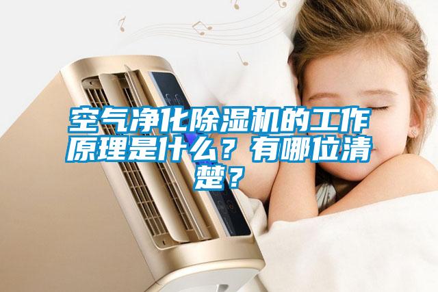 空氣凈化除濕機的工作原理是什么？有哪位清楚？