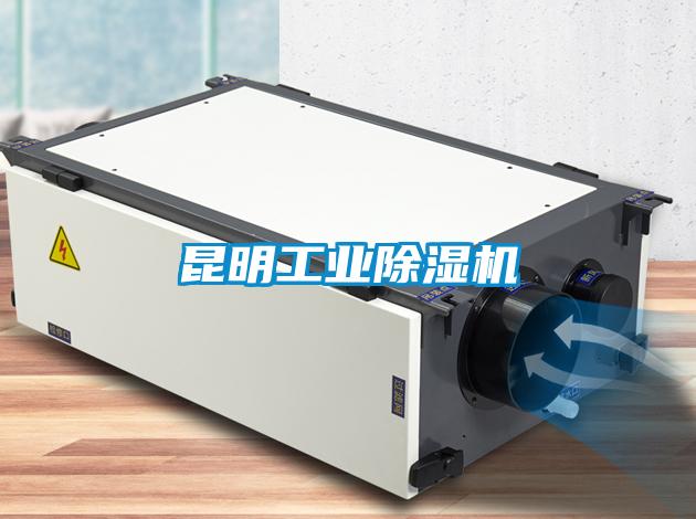昆明工業除濕機