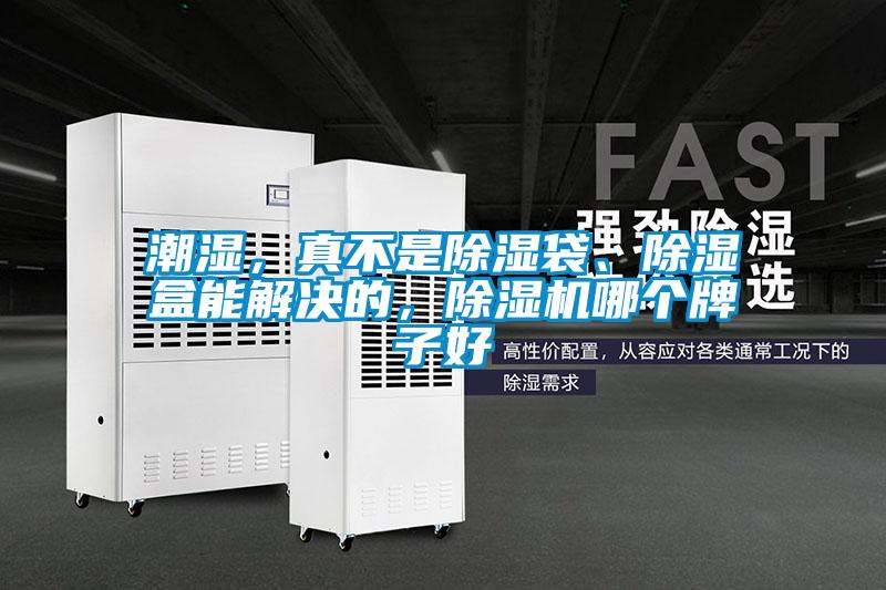 潮濕，真不是除濕袋、除濕盒能解決的，除濕機哪個牌子好