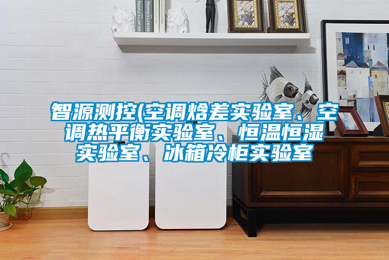 智源測控(空調焓差實驗室、空調熱平衡實驗室、恒溫恒濕實驗室、冰箱冷柜實驗室