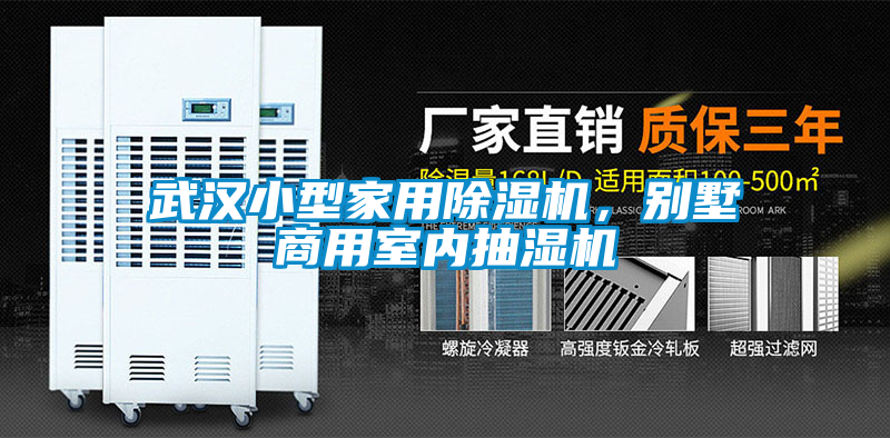 武漢小型家用除濕機，別墅商用室內抽濕機
