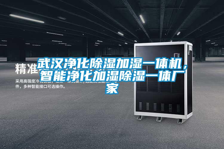 武漢凈化除濕加濕一體機，智能凈化加濕除濕一體廠家