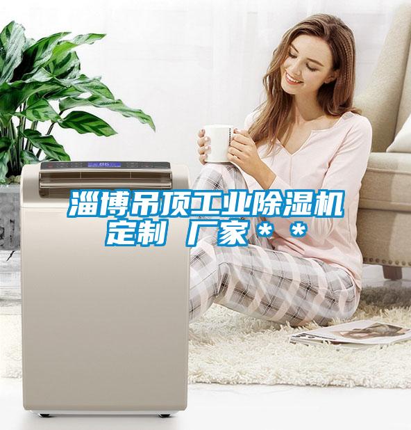 淄博吊頂工業除濕機定制 廠家＊＊