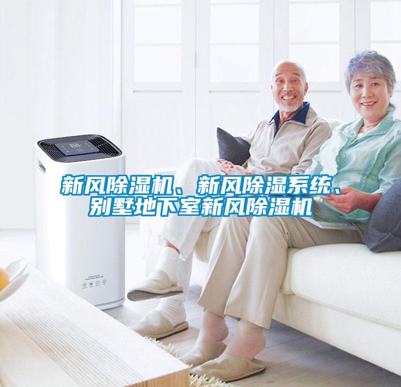 新風除濕機、新風除濕系統、別墅地下室新風除濕機