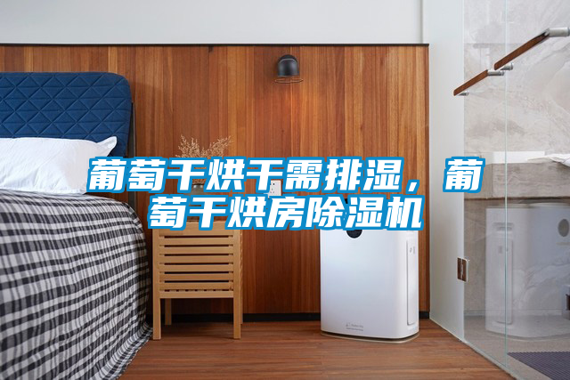 葡萄干烘干需排濕，葡萄干烘房除濕機