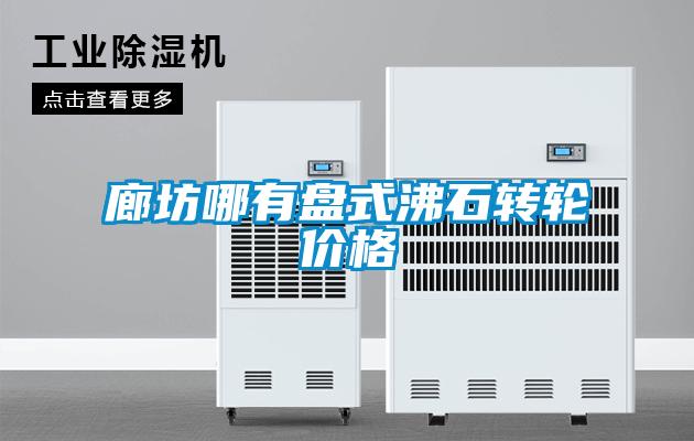 廊坊哪有盤式沸石轉輪價格