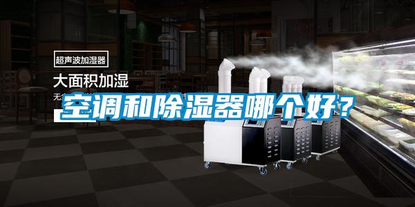 空調和除濕器哪個好？