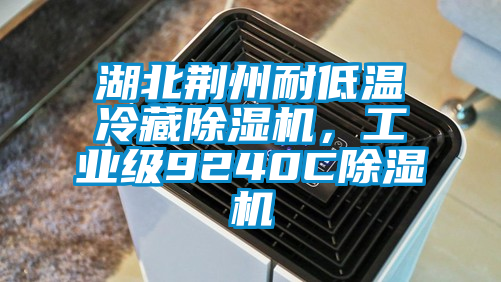 湖北荊州耐低溫冷藏除濕機，工業級9240C除濕機