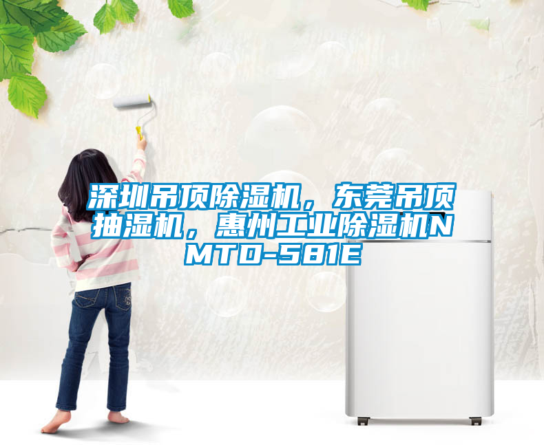 深圳吊頂除濕機，東莞吊頂抽濕機，惠州工業除濕機NMTD-581E