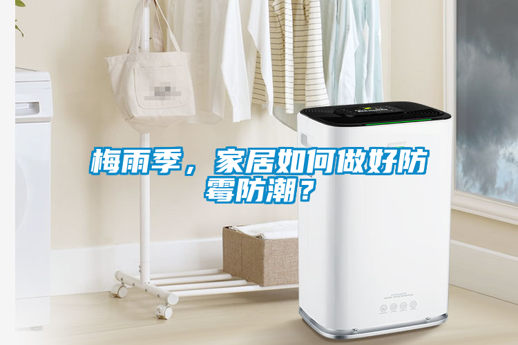 梅雨季，家居如何做好防霉防潮？