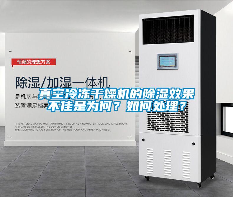 真空冷凍干燥機的除濕效果不佳是為何？如何處理？