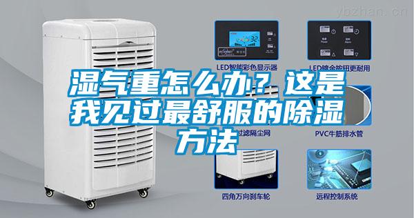 濕氣重怎么辦？這是我見過最舒服的除濕方法