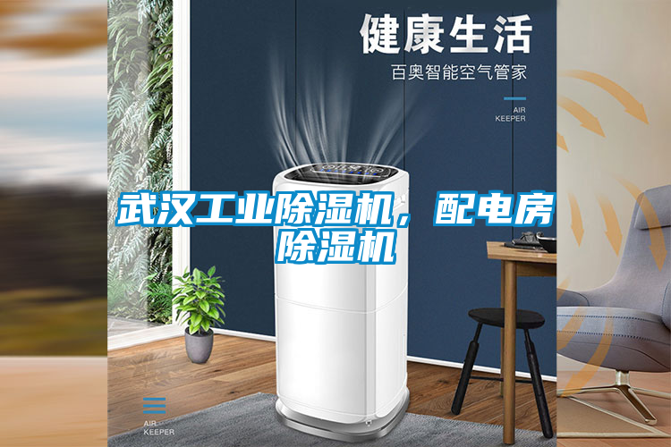 武漢工業除濕機，配電房除濕機