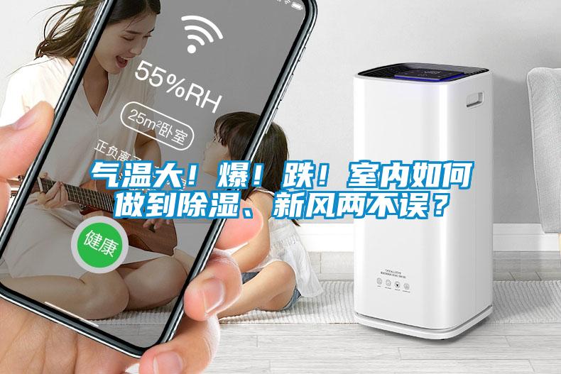 氣溫大！爆！跌！室內如何做到除濕、新風兩不誤？