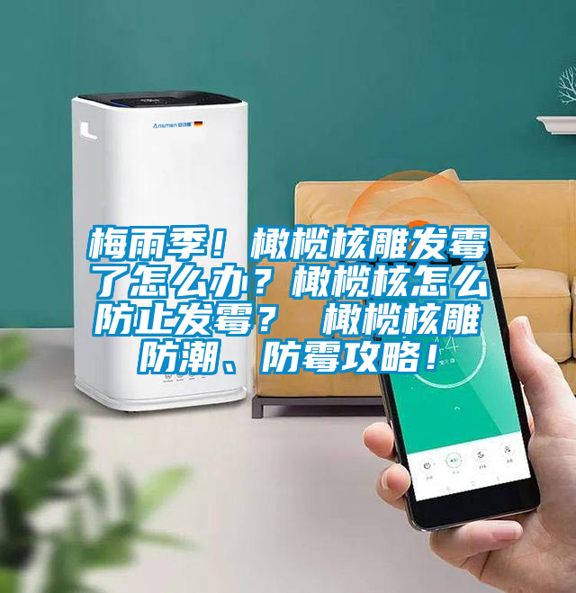 梅雨季！橄欖核雕發霉了怎么辦？橄欖核怎么防止發霉？ 橄欖核雕防潮、防霉攻略！