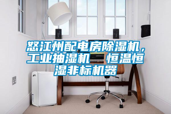 怒江州配電房除濕機，工業抽濕機  恒溫恒濕非標機器