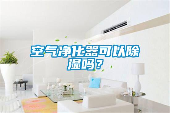 空氣凈化器可以除濕嗎？