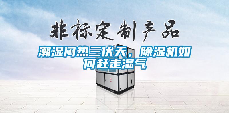 潮濕悶熱三伏天，除濕機如何趕走濕氣