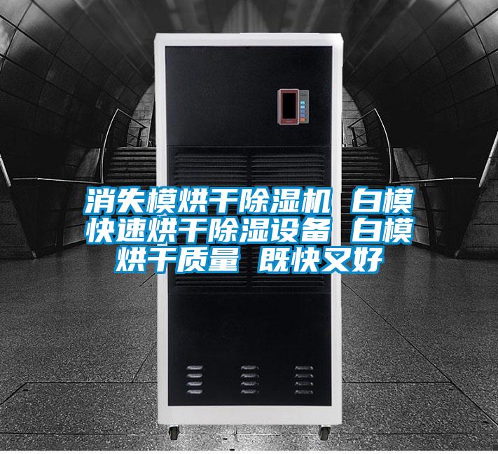 消失模烘干除濕機 白?？焖俸娓沙凉裨O備 白模烘干質量 既快又好