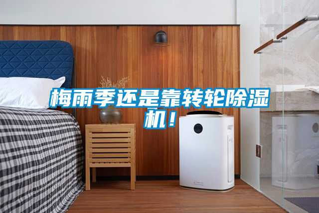 梅雨季還是靠轉輪除濕機！