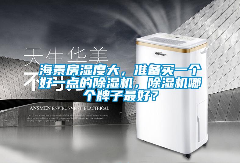 海景房濕度大，準備買一個好一點的除濕機，除濕機哪個牌子最好？