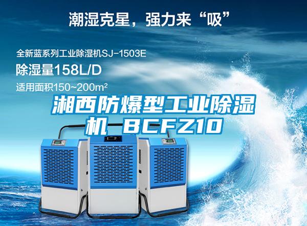 湘西防爆型工業除濕機 BCFZ10
