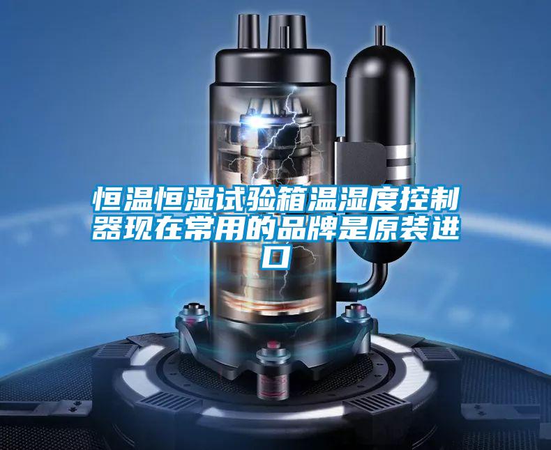 恒溫恒濕試驗箱溫濕度控制器現在常用的品牌是原裝進口